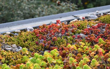 the cost of Pollosgan green roof installation