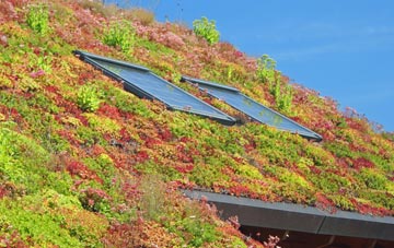 Pollosgan living roof systems