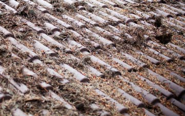 Pollosgan roof cleaning companies