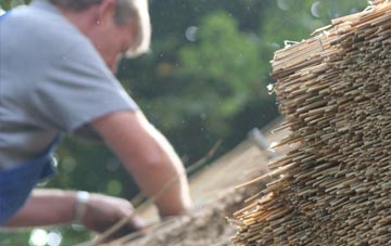 professional Pollosgan thatchers