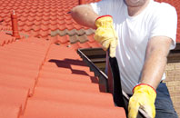 Pollosgan roof cleaners