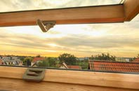 rated Pollosgan roof window companies